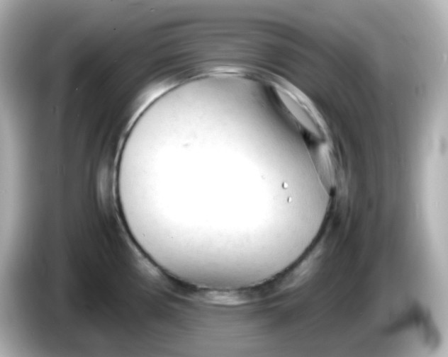 X0000086061194200704091222