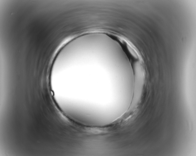 X0000086061197200704091222