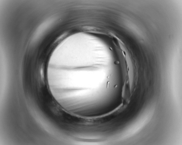 X0000086061198200704091222