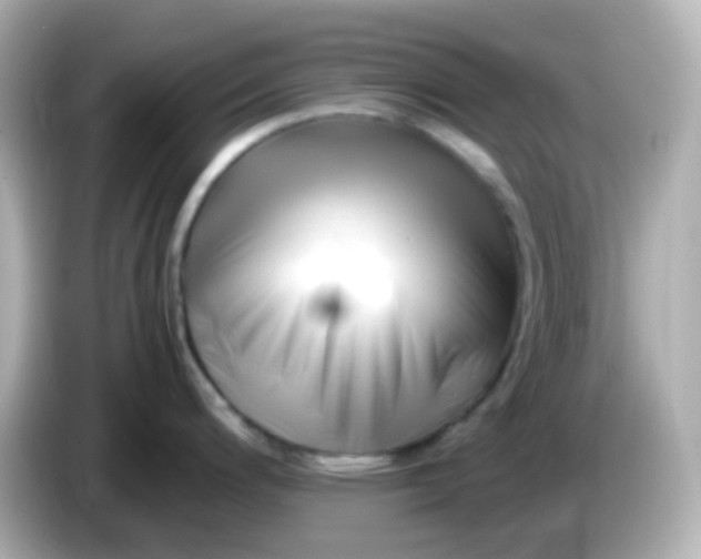 X0000086061200200704091222