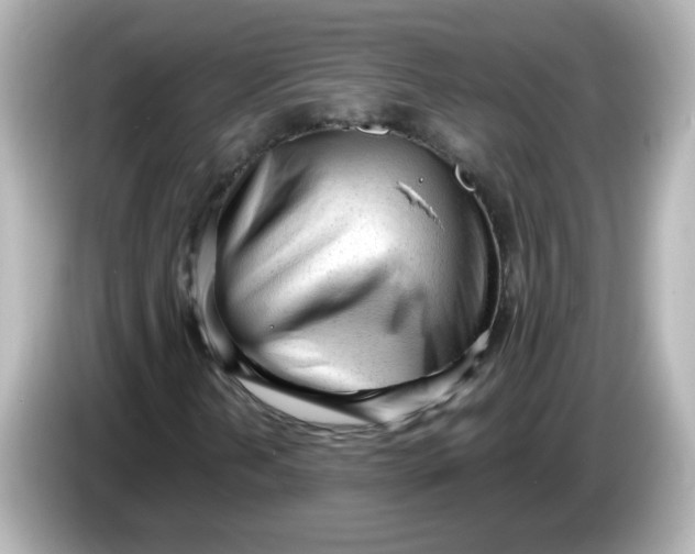 X0000086061202200704091221