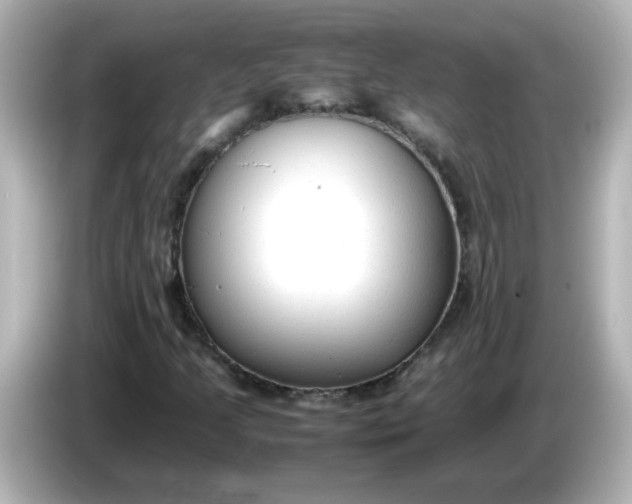 X0000086061205200704091221