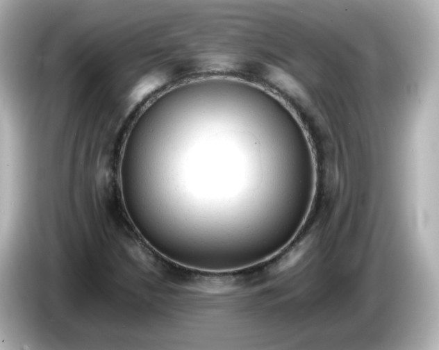 X0000086061210200704091222