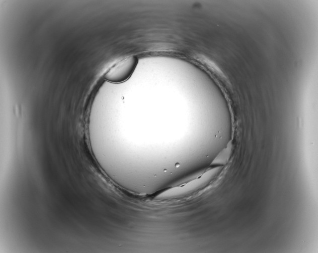 X0000086061212200704091222