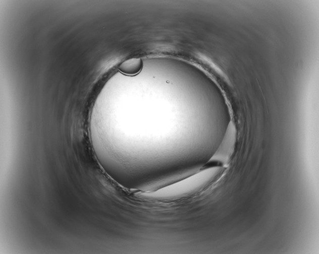 X0000086061213200704091222