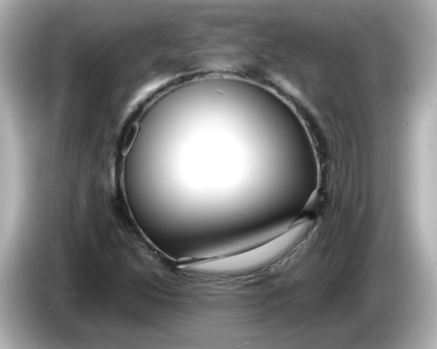 X0000086061214200704091222