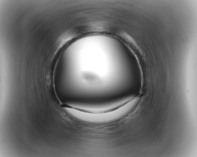 X0000086061218200704091222