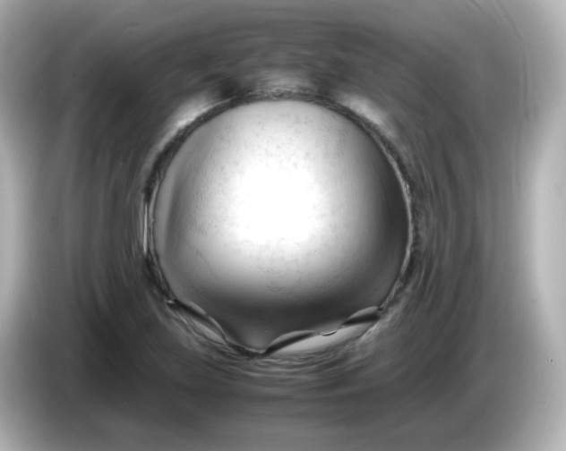 X0000086061219200704091222