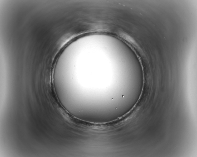 X0000086061220200704091222