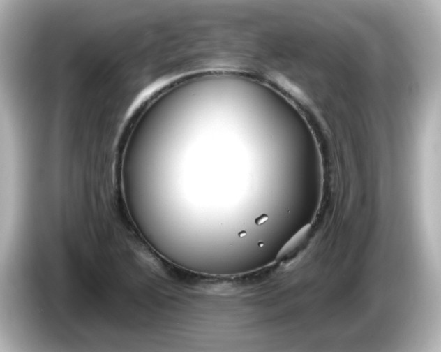 X0000086061222200704091222