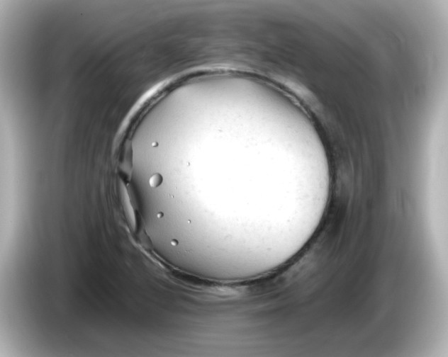 X0000086061224200704091222