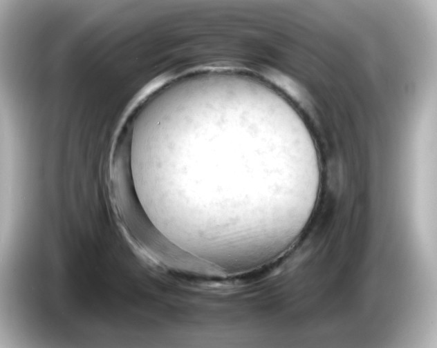 X0000086061229200704091222