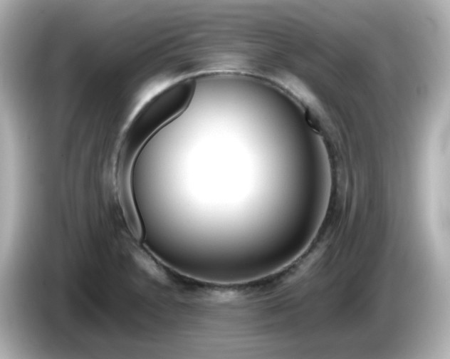 X0000086061230200704091222