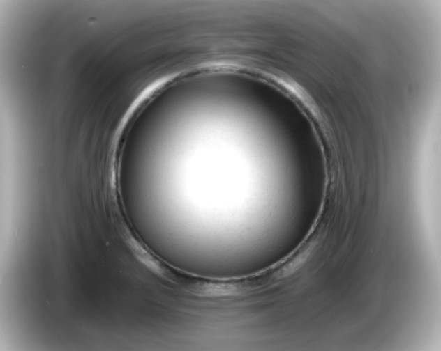 X0000086061232200704091222