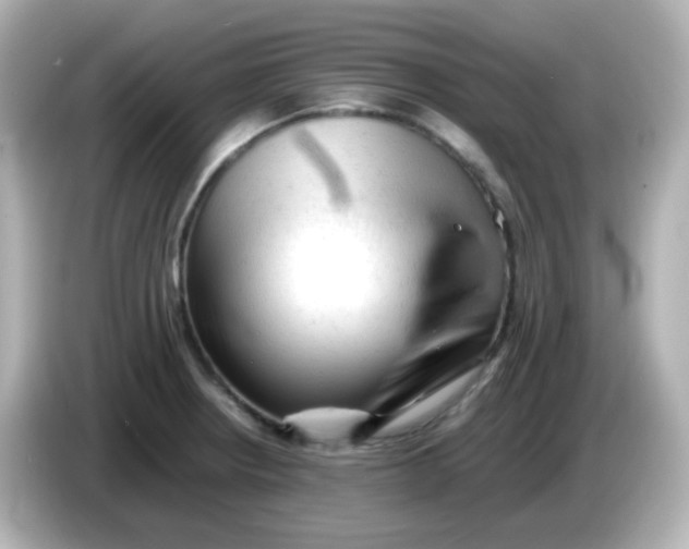 X0000086061234200704091222