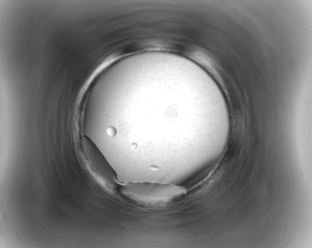 X0000086061235200704091222