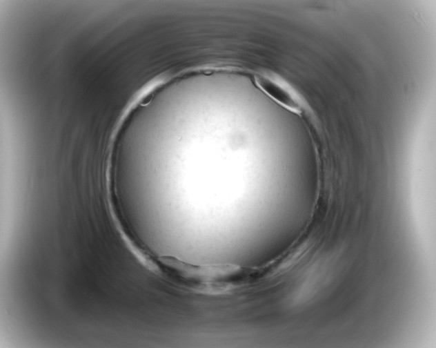 X0000086061237200704091222