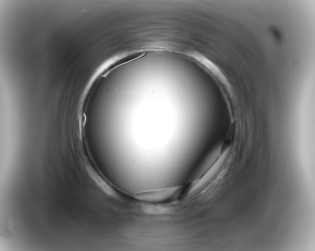 X0000086061238200704091222