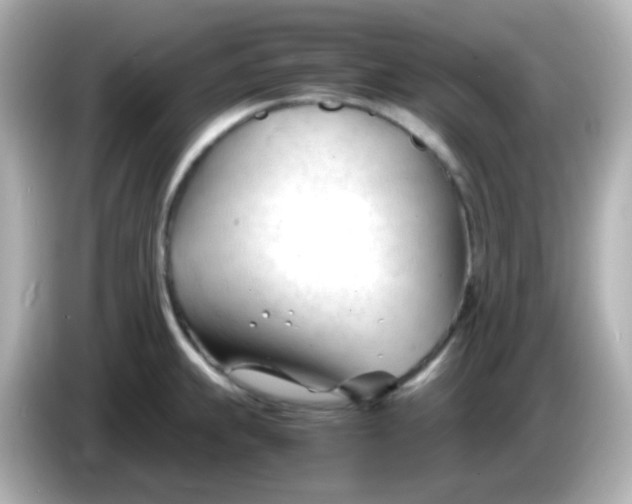 X0000086061239200704091222