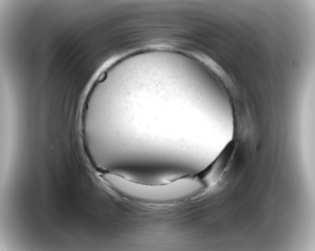 X0000086061240200704091222