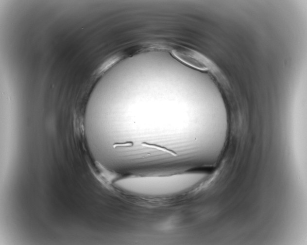 X0000086061241200704091222