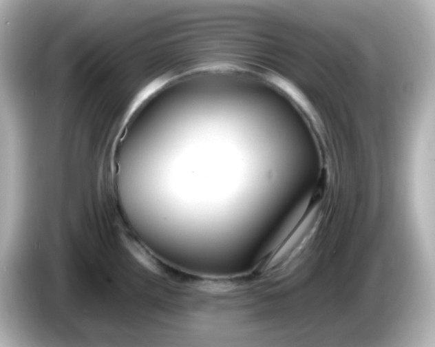 X0000086061242200704091222