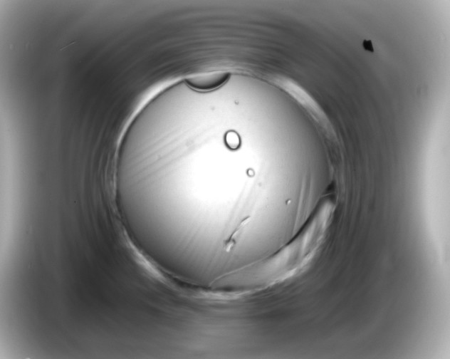 X0000086061244200704091222