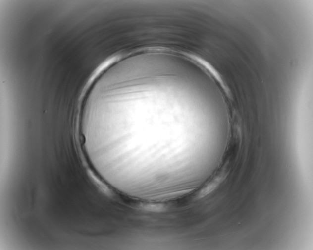 X0000086061245200704091222