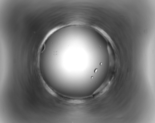 X0000086061246200704091222