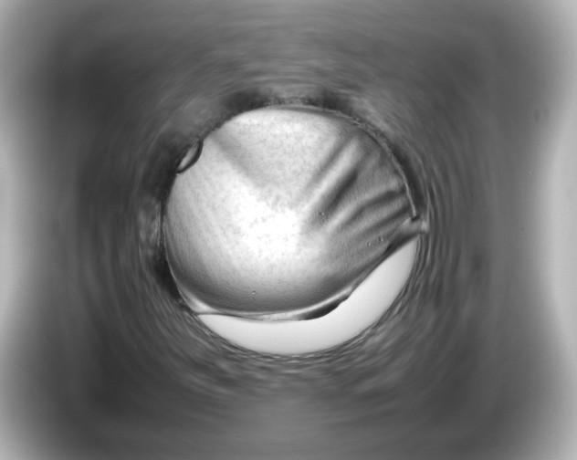 X0000086061251200704091221