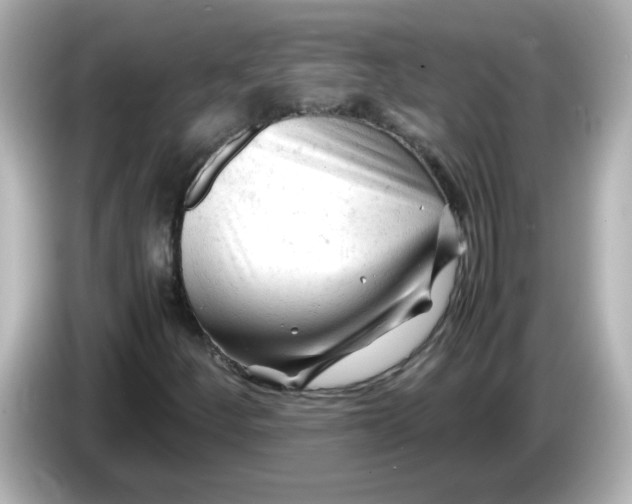 X0000086061252200704091221