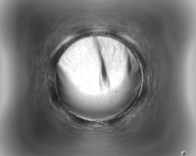 X0000086061255200704091221