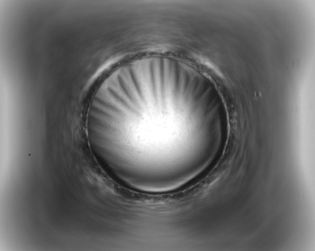 X0000086061256200704091221