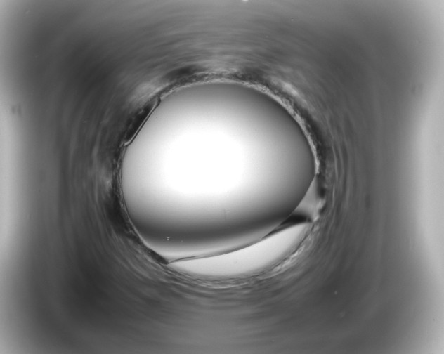 X0000086061257200704091221