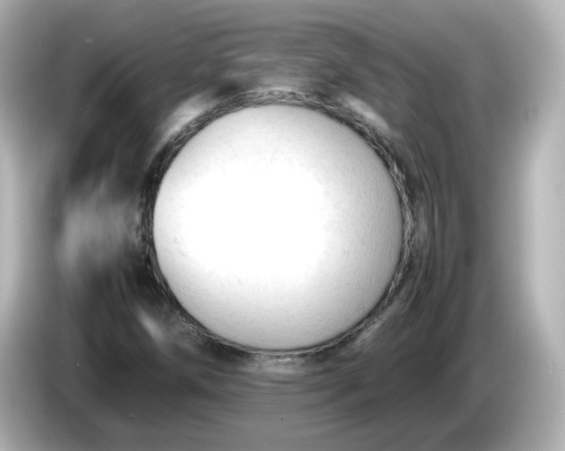 X0000086061258200704091221