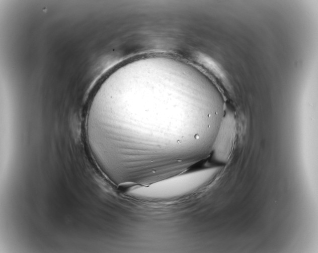 X0000086061260200704091221