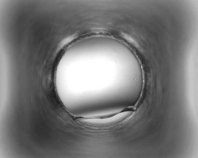 X0000086061261200704091221