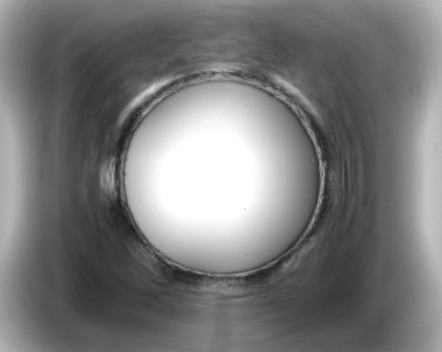 X0000086061262200704091221