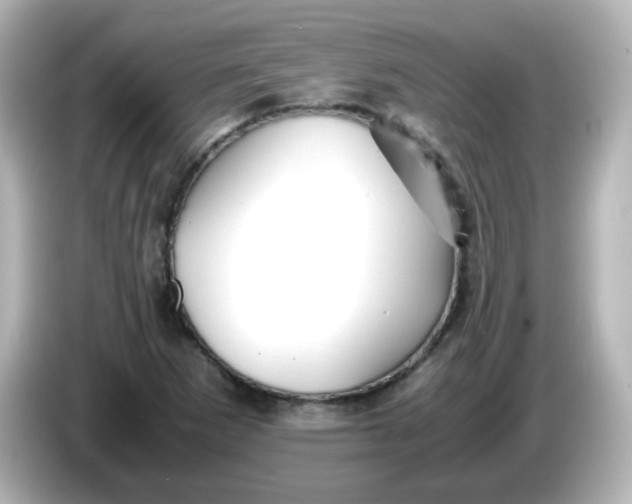 X0000086061265200704091221