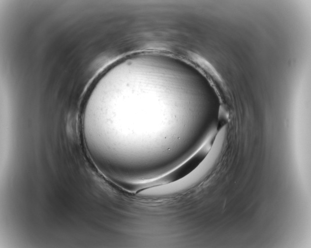 X0000086061268200704091221