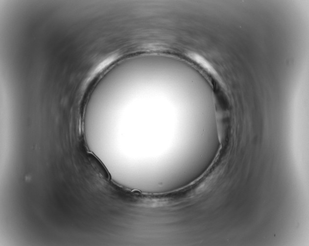 X0000086061269200704091221