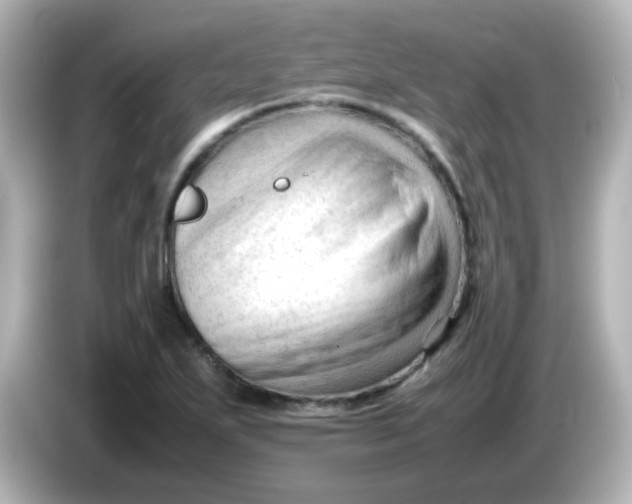 X0000086061271200704091221