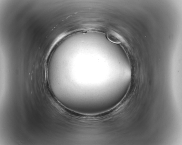 X0000086061275200704091221