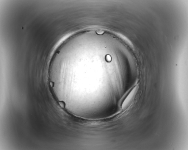 X0000086061279200704091221