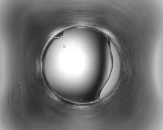 X0000086061280200704091221