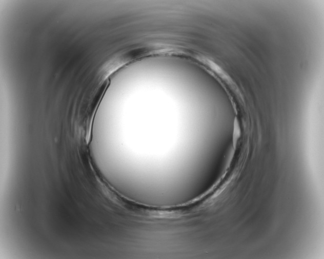 X0000086061281200704091221