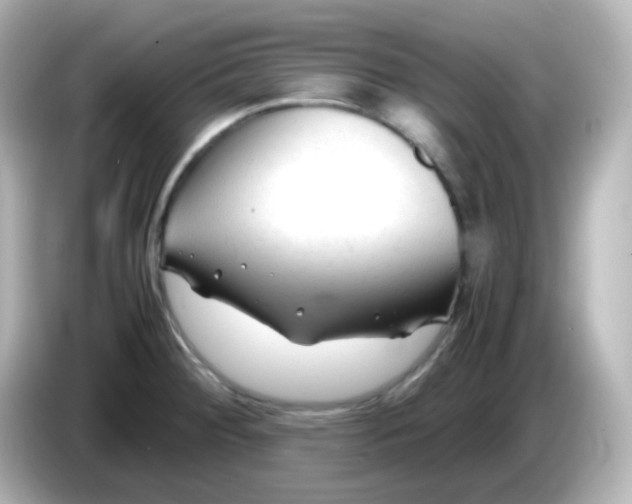 X0000086061284200704091221