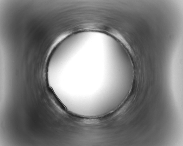 X0000086061285200704091221