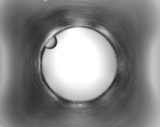 X0000086061286200704091221