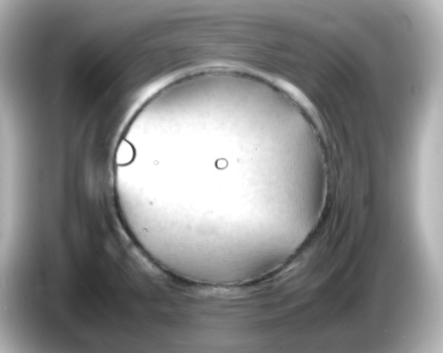 X0000086061287200704091221